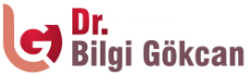 bilgigokcan-logo